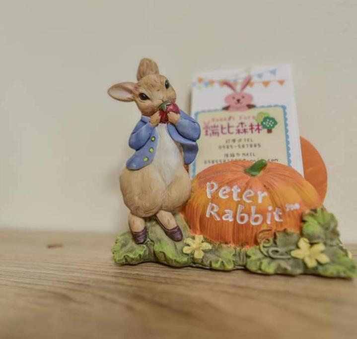 Rabbit Forest B&B Ruisui Exterior foto